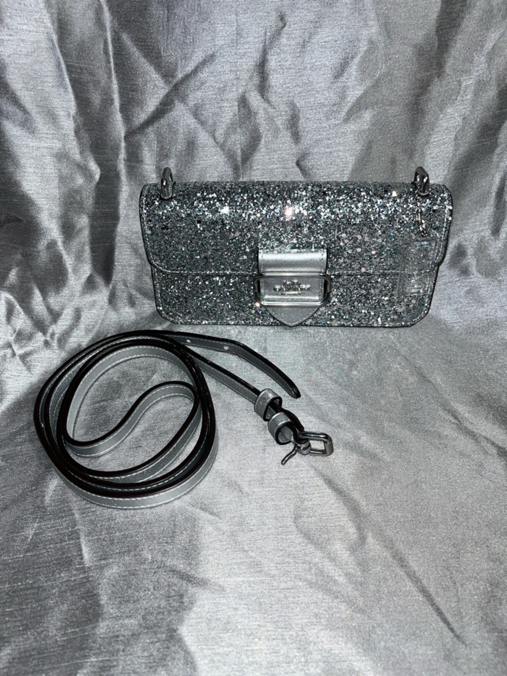 Silver Coach Purse